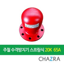 [착불발송]주철 국산 수격방지기 워터해머흡수기 스프링식 10K/20K (25A~300A), WHCS-20 (20K)