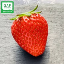 금실딸기 논산딸기 생딸기 딸기금실 800g, 금실_특