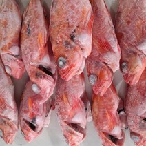 국내산 반건조 손질 열기 빨간생선 1kg 2kg, 1kg(10미)