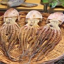 말린문어 건문어 여수피문어 1마리 / 돌문어 마른문어, 03.돌문어(프리미엄)-1마리(250g이상)