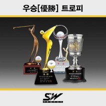 골프트로피 메달리스트 우승 시상식대회트로피_SWT-225