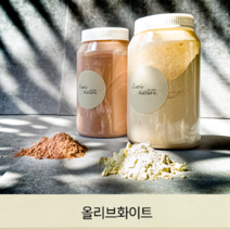 유럽미장 루이스네이처 셀프 유럽미장재 스타코 빈티지 천연 미장, 조색광물_올리브화이트, 1개