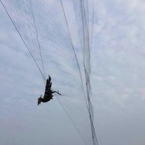 낙석방지망 안전방망 휘장막 수직보호망 멀티망 러셀망 낙하물방지망 분진망 뜨거운 판매 안티 버드 그물 자르기 그물 메쉬 정원 과일 식물 나무 연못 보호 그물 야채 관리 57, 4x2m