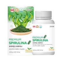 퍼펙트라이프 프리미엄 캐나다 스피루리나 1 450mg 90정 엽록소 캐나다직수입, 2개