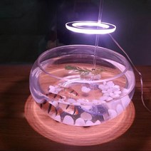 LED 엔젤등 식물성장 전구 조명 램프 다육이 선인장 식물용 엔젤링LED LED조명 엔젤링 엔젤등 식물등 식물키우기 다육이키우기 조명 램프 식물성장 식물, 엔젤식물등A 자연광
