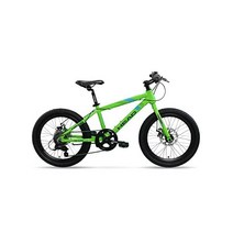 HEAD Sporco L-Twoo 아동용 자전거 20인치 그린