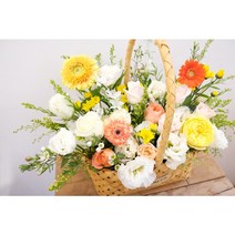 부산지역만 가능 동래꽃집 상큼한 기분전환 꽃바구니 부산대꽃배달 당일예약, 정관읍