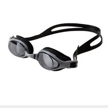 아레나 A0AC2AG02 SLV 성인 남여공용 연습용 수경 패스트, FREE