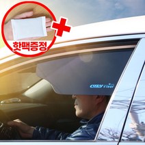 COZY 해피바이져 차량용 햇빛가리개 운전석 자석형 B타입, 타입선택
