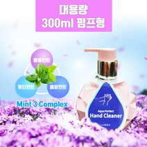 [향기나는 손소독제] 라그라쎄 아쿠아 퍼펙트 핸드클리너 손소독제 300ml, 1개