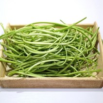 당일수확 고구마순 고구마줄기 청대 홍대 1kg 2kg 농장직송 고구마순나물 잎제거, 생고구마순 청대 1kg