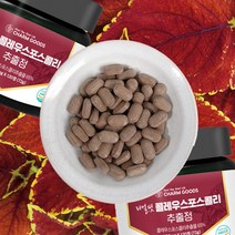 콜레우스포스콜리 추출물 타블렛 120정 초저분자 피쉬콜라겐 엘라스틴 건조효모 MCT오일 성분 함유, 3통