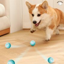 와프와프 스마트롤링볼 움직이는장난감 강아지 공, 블루＋핑크