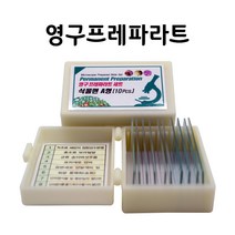 영구프레파라트-식물편A형(10pcs)