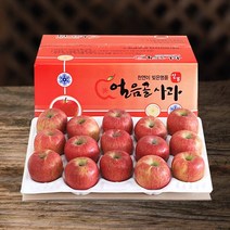 (산지직송) 밀양 얼음골사과 고당도 부사 5kg 10kg, 1box, 5kg 26과