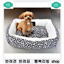 강아지 눈건강 루테인 눈물케어 강아지껌 강아지빗질 말티즈셀프미용 애견미용용품