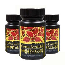간편한 콜레우스 포스콜리 정 제 콜레우스 포스콜린 효능 콜레우스 포스콜리 추출물 분말 알약 타블렛 1일 2정, 3 Ee a