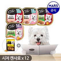 한국마즈 시저 강아지캔 11세 14세이상 100gx12개, 01.11세이상 쇠고기x12개, 선택완료, 선택완료