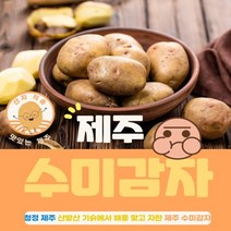 해풍맞은 청정 제주도 국내산 수미감자 특대 5kg 10kg 20kg 햇감자 농산물 감자요리 감자튀김 감자칩 러셋감자 두백감자 씨감자 제주도감자 하지감자 유기농감자 개진감자 분감자, 1박스, 특대 20kg