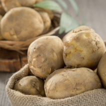 국내산 감자 수미감자 알감자 구이용 튀김용 햇감자 3kg 5kg 10kg 20kg, 3kg(쫄), 1개