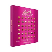 린트 어소티드 미니 프랄린 엑시퀴짓 초콜릿, 1개, 176g