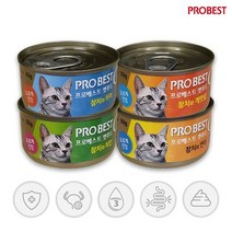 프로베스트 캣 캔 4종 콤보 24개 1세트, 1개