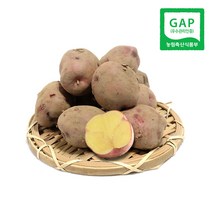 속노란 하동 자색유황감자 (하상) 1.8kg 외 / 홍감자 2022년 가을수확 햇감자, 1박스, (하상) 4.7kg