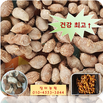 인디언감자(아피오스) 3kg/5kg 생산자 직판, 인디언감자 10kg-85000원