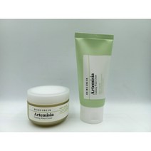 브링그린 사철 쑥 카밍 수분크림 75ml 1+1, 2개