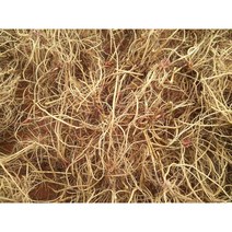 (홍열팜) 닭발우슬즙 관절영양제 연골개선제 110ml x 60포, 뼈 영양제