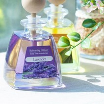 아로마 디퓨져 100ml 12종 리필100ml 증정 불면증에좋은향 굿슬립 숙면 방향제 불면증아로마 수면 안정 잠잘오는향 천연오일 실내디퓨저추천 차량용디퓨저 차량용방향제 자동차방향제 차량방향제 화장실방향제 천연방향제 천연디퓨져 화장실디퓨저, 레드프룻