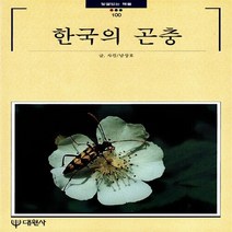 대원사 새책-스테이책터 [한국의 곤충] -빛깔있는책들 - 한국의 자연 100-대원사-남상호 글.사진-곤충-19901201 출간-, 한국의 곤충