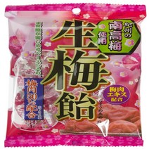 Ribon Fresh Plum Hard Candy (Japanese Import) [JI-ICIC], 1
