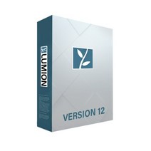 루미온 Lumion Standard 3년 라이선스