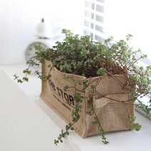 내추럴 쥬트 화분 커버 (2type) 인테리어 조화 가든 꾸미기 소품 황마 친환경 제로웨이스트, 블랙-허브스토리, 원형