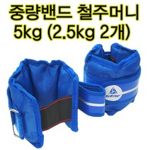 스타 중량밴드 5kg 철주머니 모래주머니 납주머니 1세트