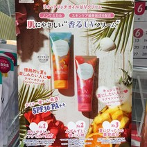 [이라운드몰]세프티 선크림 리옷토 리치 오일 UV 크림 100g 2종류, 썸머 홀릭