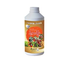 진시황 수용성규산염 유황 친환경 살균제 천연수용성규산염 명전바이오, 1개, 500ml