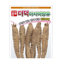 더덕 종자 더덕 씨앗 60g 아시아종묘, 2