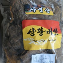 자연산상황버섯 (중국산) 1kg 차 물 분말 뽕나무 장수상황버섯, 1000g, 1개
