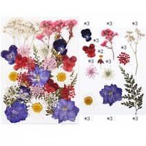 1 Bag 아로마 테라피 촛불에 대 한 진짜 말린 된 꽃 건조 식물 에폭시 수 지 펜 던 트 목걸이 쥬얼리 만들기 공예 DIY 액세서리, 15 15