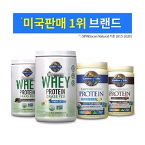 가든오브라이프 식물성단백질 유청 웨이프로틴 식사대용 헬스보충제, 유청 프로틴-바닐라맛378g