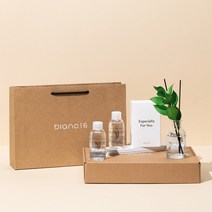 블랑16 이사 집들이 선물 세트 퇴사 승진 기념 선물 세트 쇼핑백 감사카드 포함, 루스커스_그린, 소나무