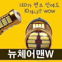골드파워 58개 LED 뉴체어맨W 후진등 T15