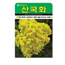 SN월드 야생화 씨앗 꽃씨앗 모음, 야생화 - 산국화(1만립)