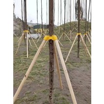 전나무 1m 2m 1.5m 지주목고정구 농자재 과수받침대, 소나무 1.9M  3.5cm  4개 + 컵세트