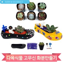 다육 식물 키우기 화분만들기 재료 어린이집 교구 고무신 유아 미술놀이, 토끼당근 (7494)