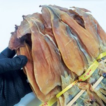 완도 금복식품 해풍으로말린 동해산 마른오징어 4미 10미 35cm내외 술안주 간식용 건오징어, 10마리, 1개