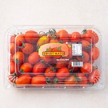 스테비아토마토 당뇨에좋은과일 스테비아방울토마토, 스테비아 토마토 500g 1팩