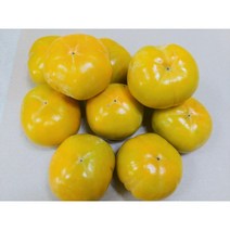 햇창원단감(대과) 3kg, 10kg(40과 내외)